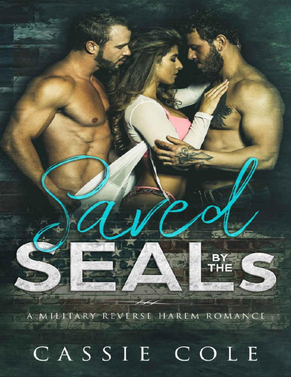 Saved By The Seals A Military Reverse Harem Romance Cassie Cole Cole