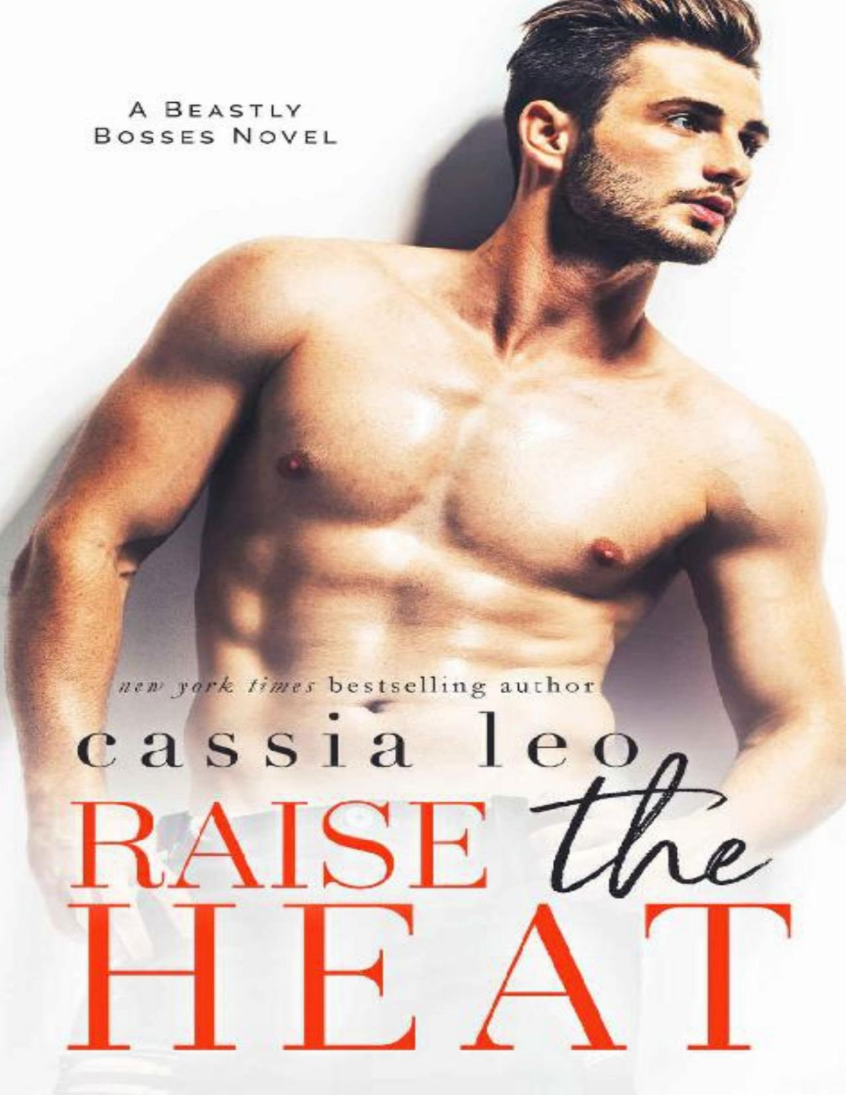 Raise The Heat A Forbidden Office Romance Beastly Bosses Cassia Leo Leo