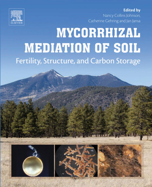 Mycorrhizal Mediation Of Soil Fertility Structure And Carbon Storage Johnson
