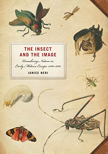 The Insect And The Image Visualizing Nature In Early Modern Europe 15001700 Neri