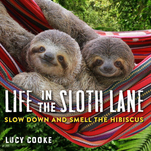 Life In The Sloth Lane Lucy Cooke