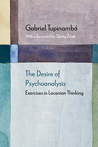 The Desire Of Psychoanalysis Exercises In Lacanian Thinking Diaeresis Gabriel Tupinamb