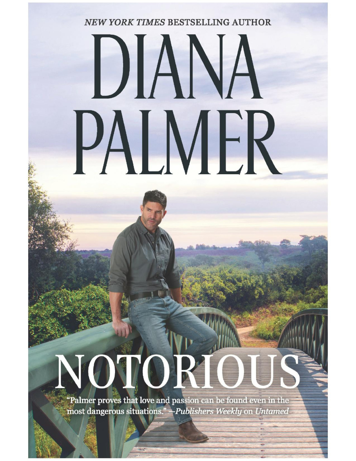 Notoriousa Novel Diana Palmer