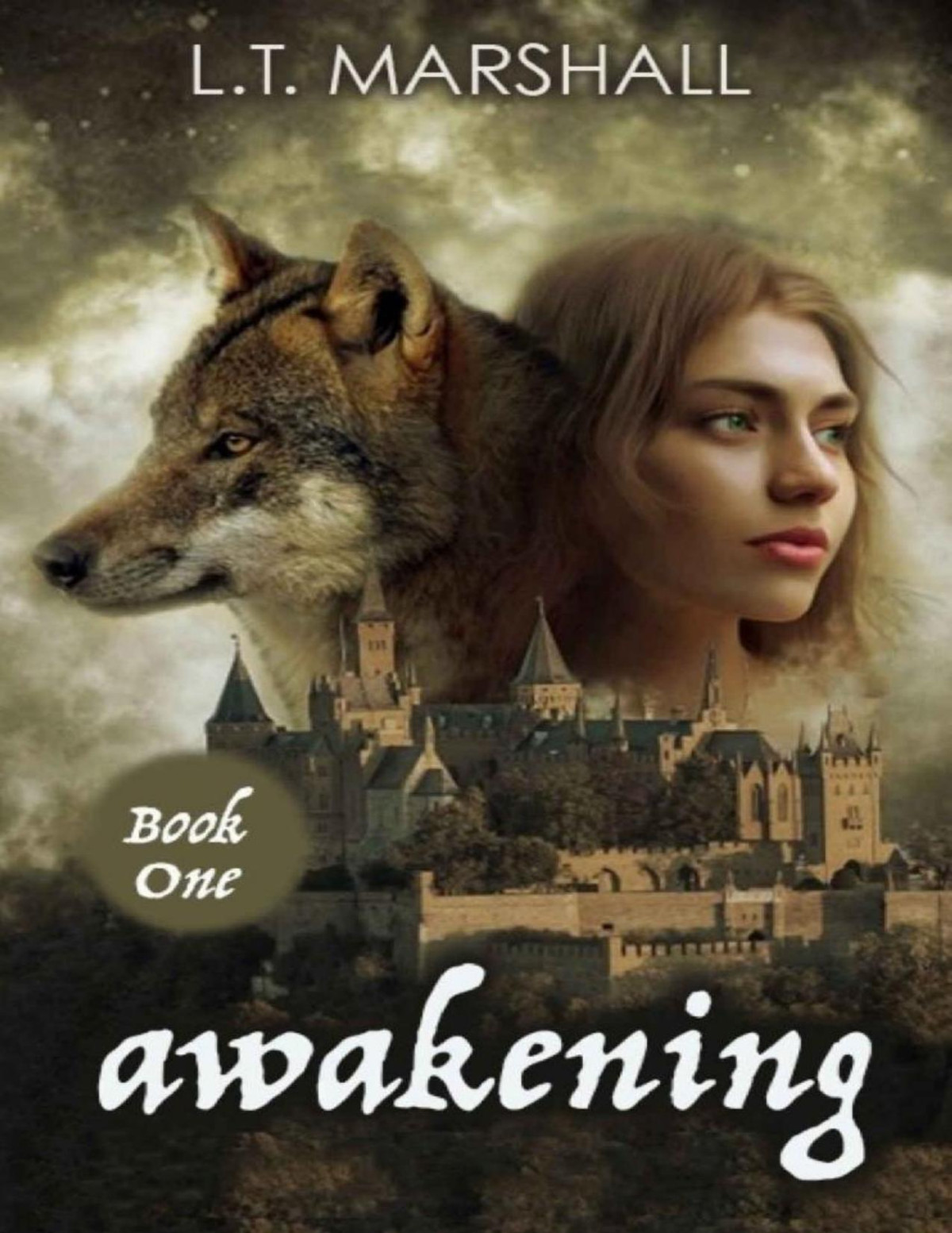Awakening Book One Lt Marshall Marshall Lt
