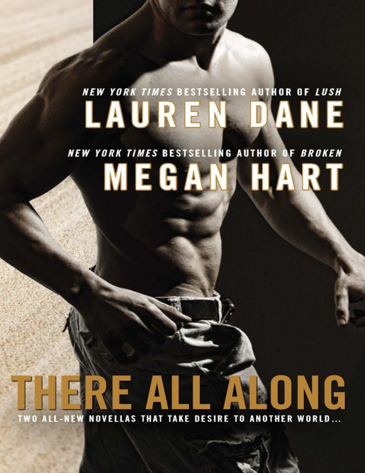There All Along Lauren Dane Megan Hart Dane Lauren Hart