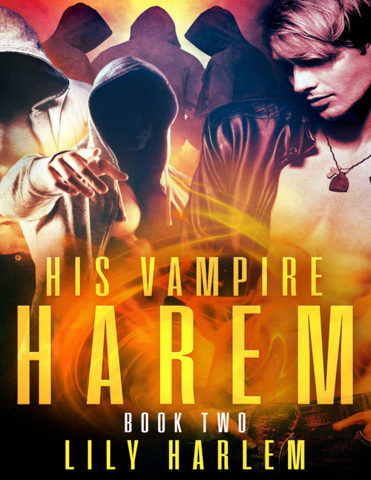 His Vampire Harem Book Two Harem Paranormal Romance Gay Lily Harlem Harlem