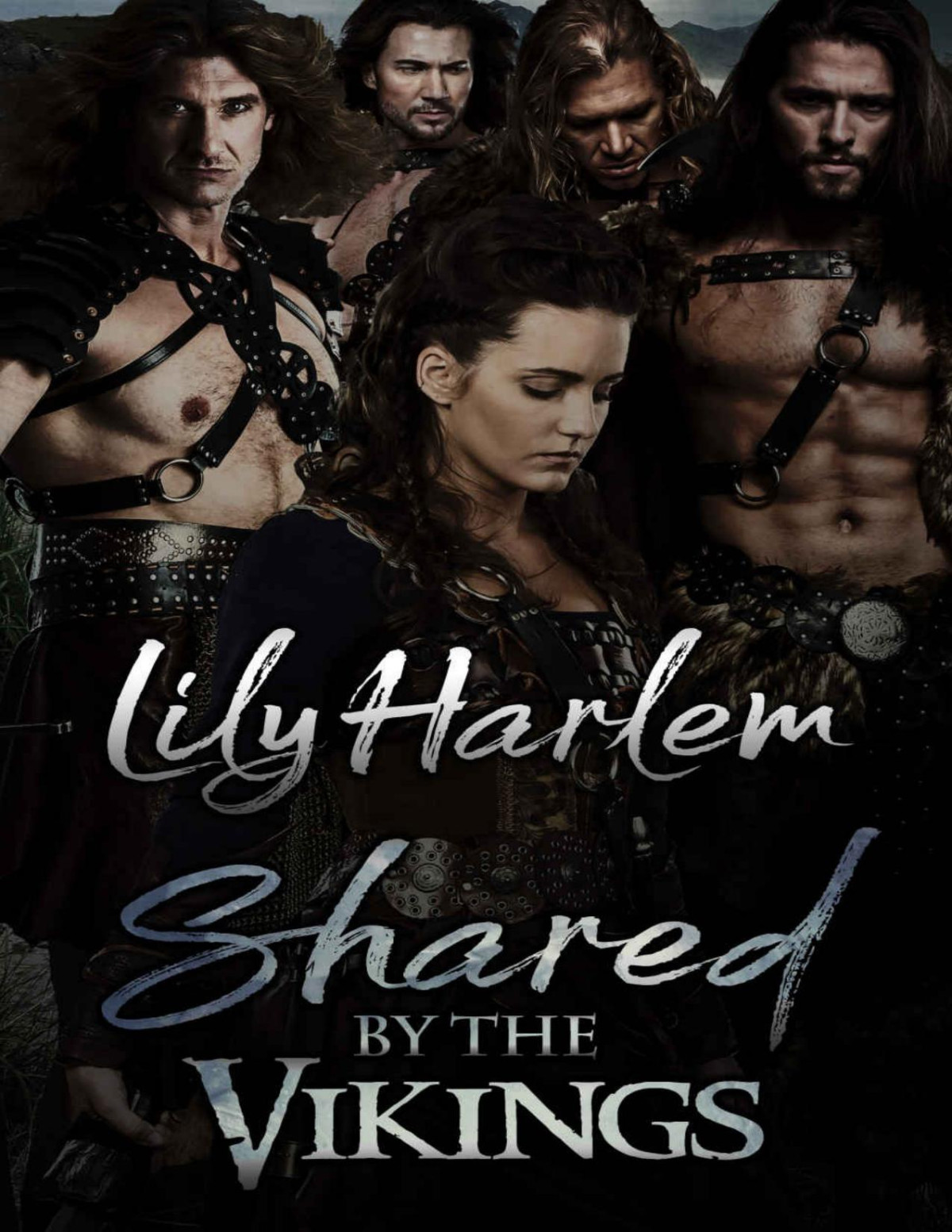 Shared By The Vikings A Reverse Harem Romance Lily Harlem Harlem