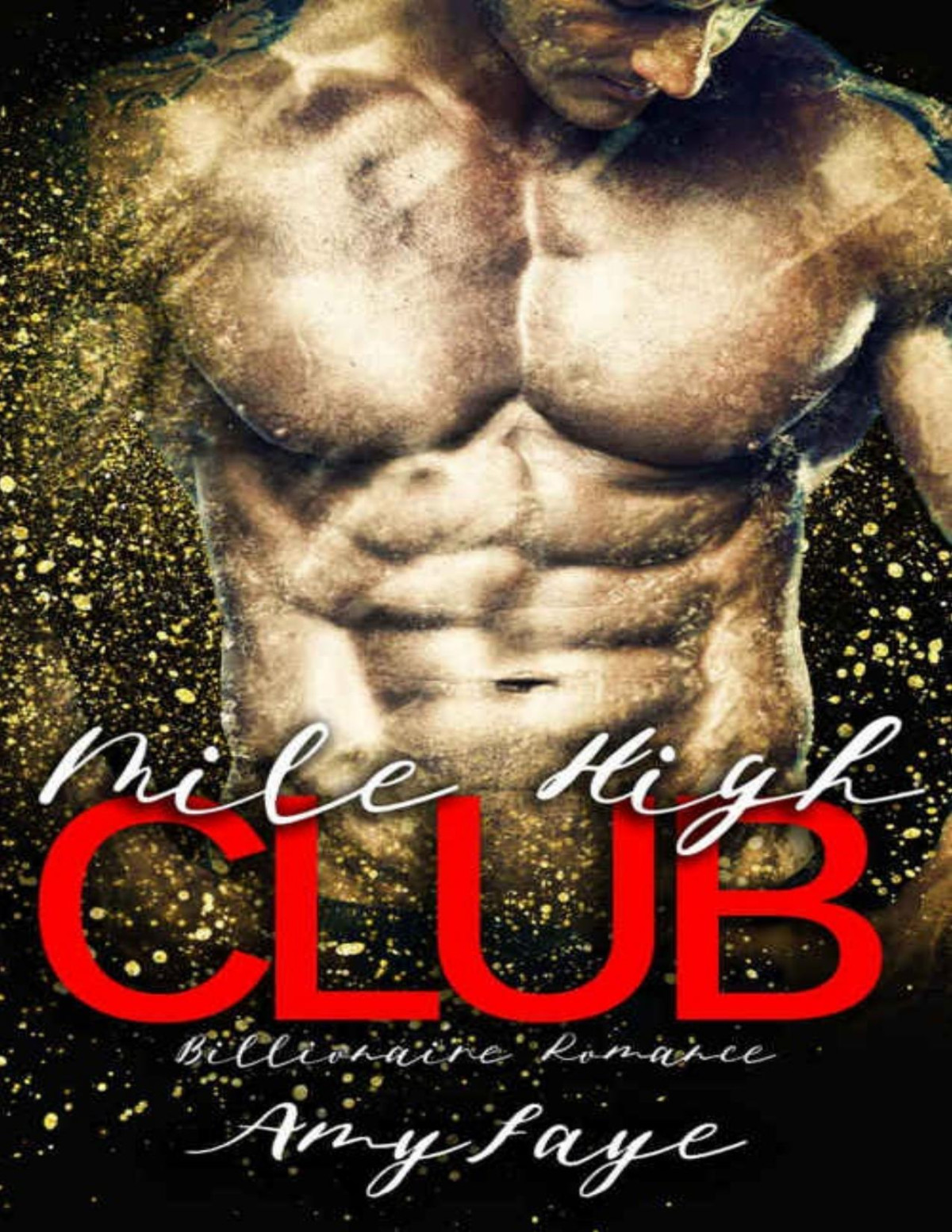 Mile High Club Billionaire Romance Amy Faye Faye Amy