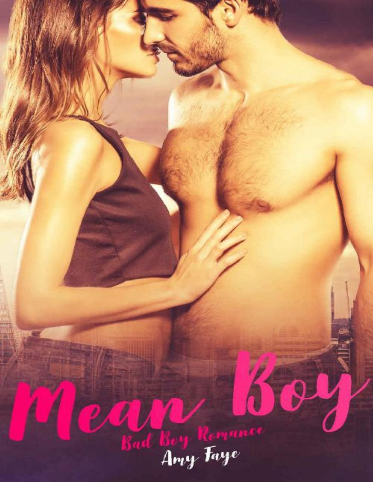 Mean Boy Bad Boy Romance Amy Faye Faye Amy