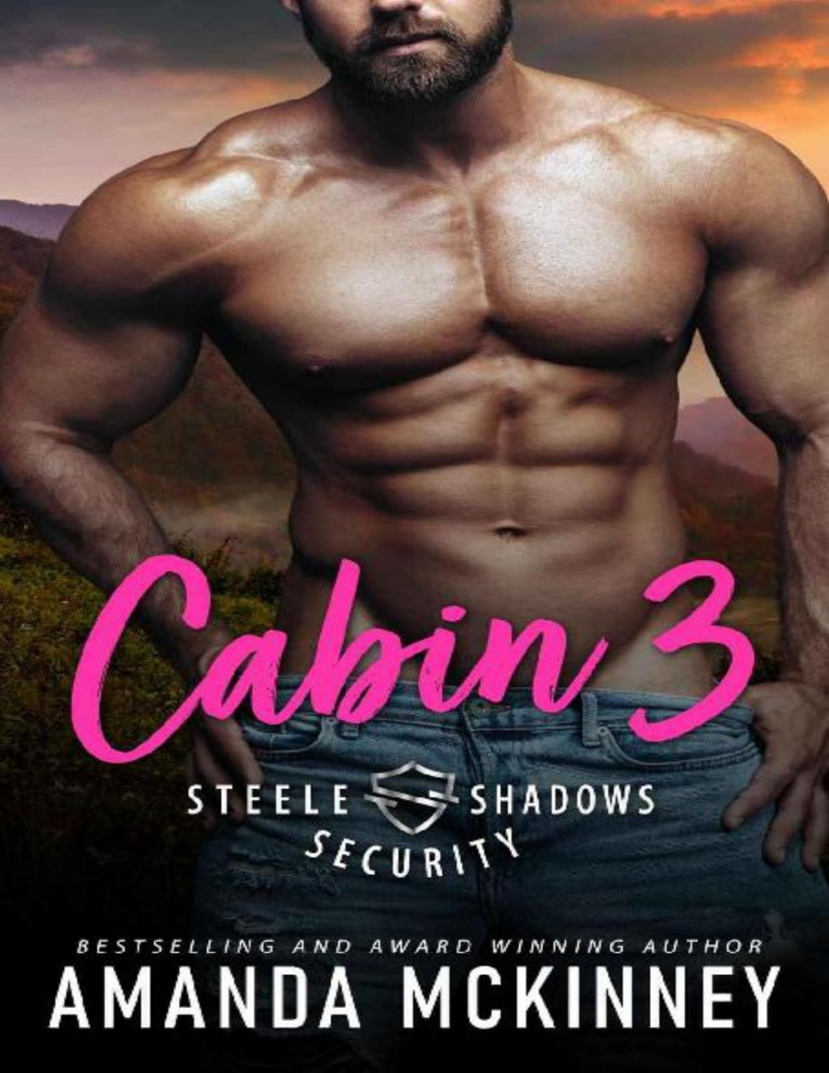 Cabin 3 Steele Shadows Security Amanda Mckinney Mckinney Amanda