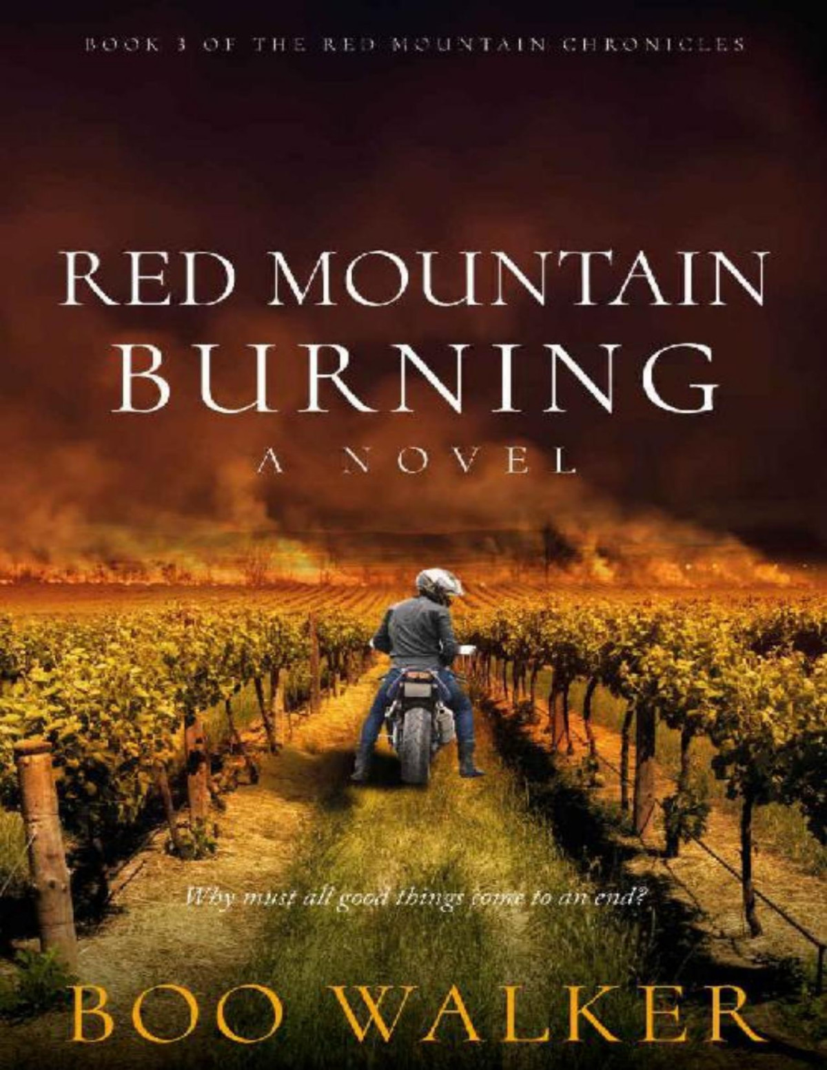Red Mountain Burning A Novel Red Mountain Chronicles Book 3 Boo Walker Walker