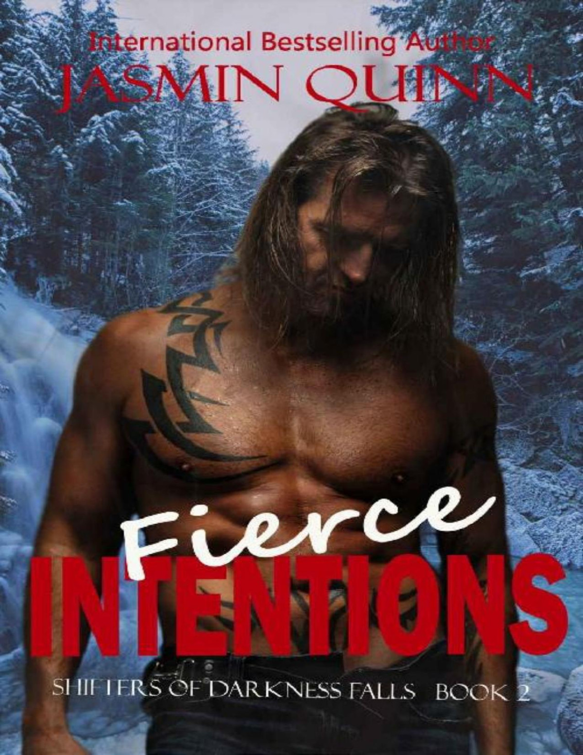 Fierce Intentions Shifters Of Darkness Falls Book 2 Jasmin Quinn Quinn
