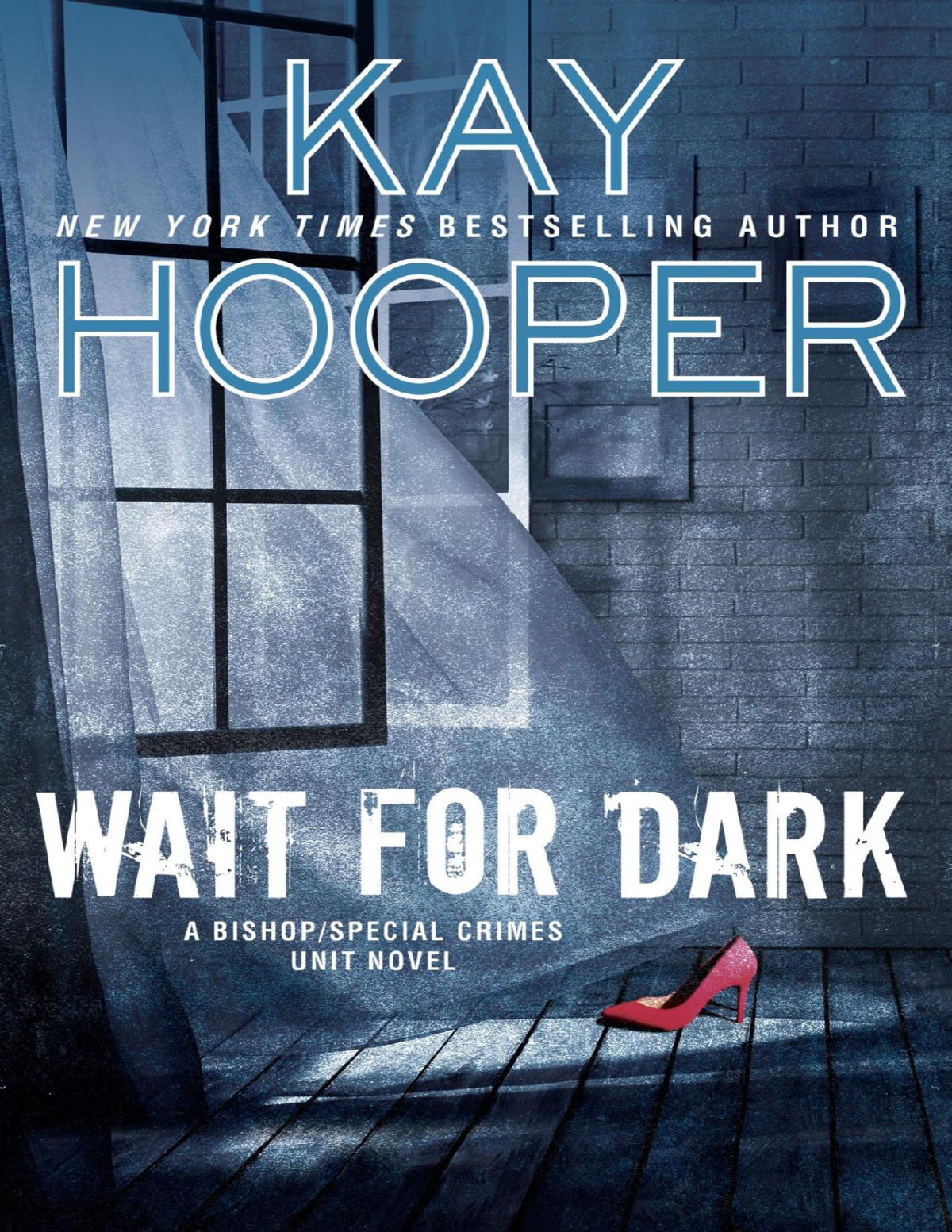 Wait For Dark Kay Hooper