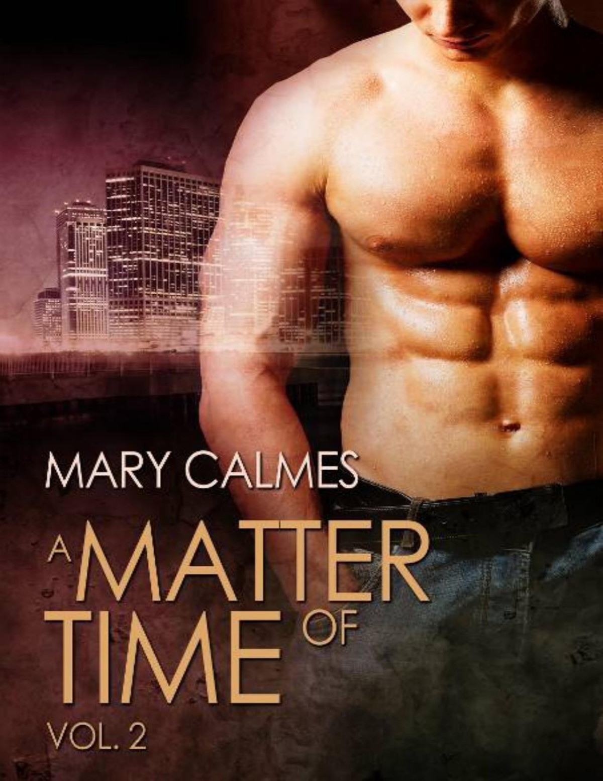 A Matter Of Time Vol 2 A Matter Of Time Series Mary Calmes Calmes