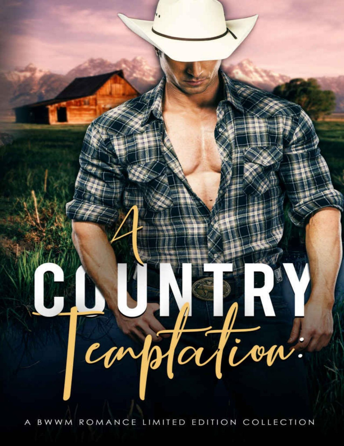 A Country Temptation A Bwwm Western Romance Limited Edition Collection Peyton Banks Sade Rena Sedona Venez Ml Preston Reana Malori J Michelle Jade Royal Julia Bright L Loren Abigail Davies Banks