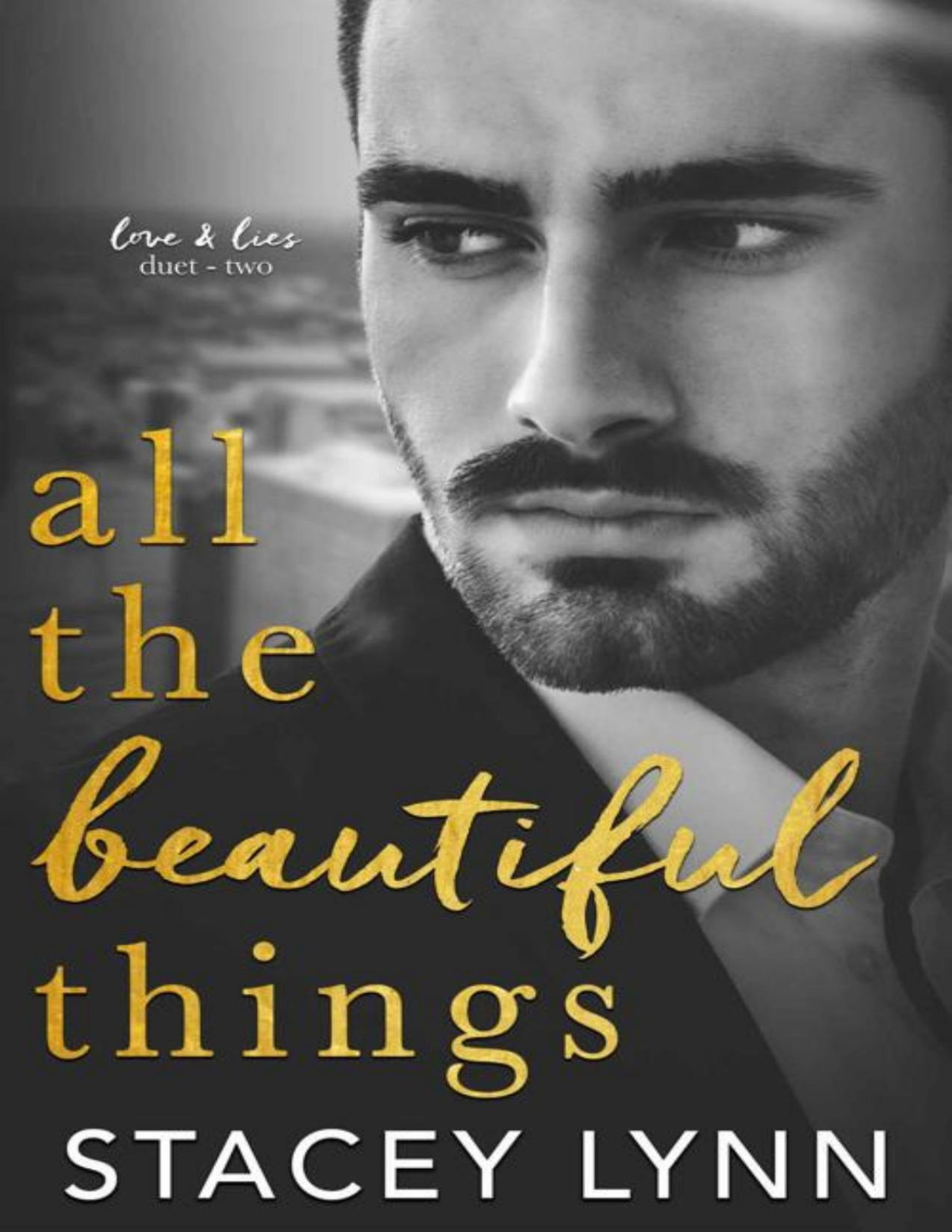 All The Beautiful Things Stacey Lynn