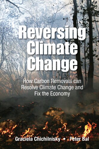 Reversing Climate Change How Carbon Removals Can Resolve Climate Change And Fix The Economy Graciela Chichilnisky