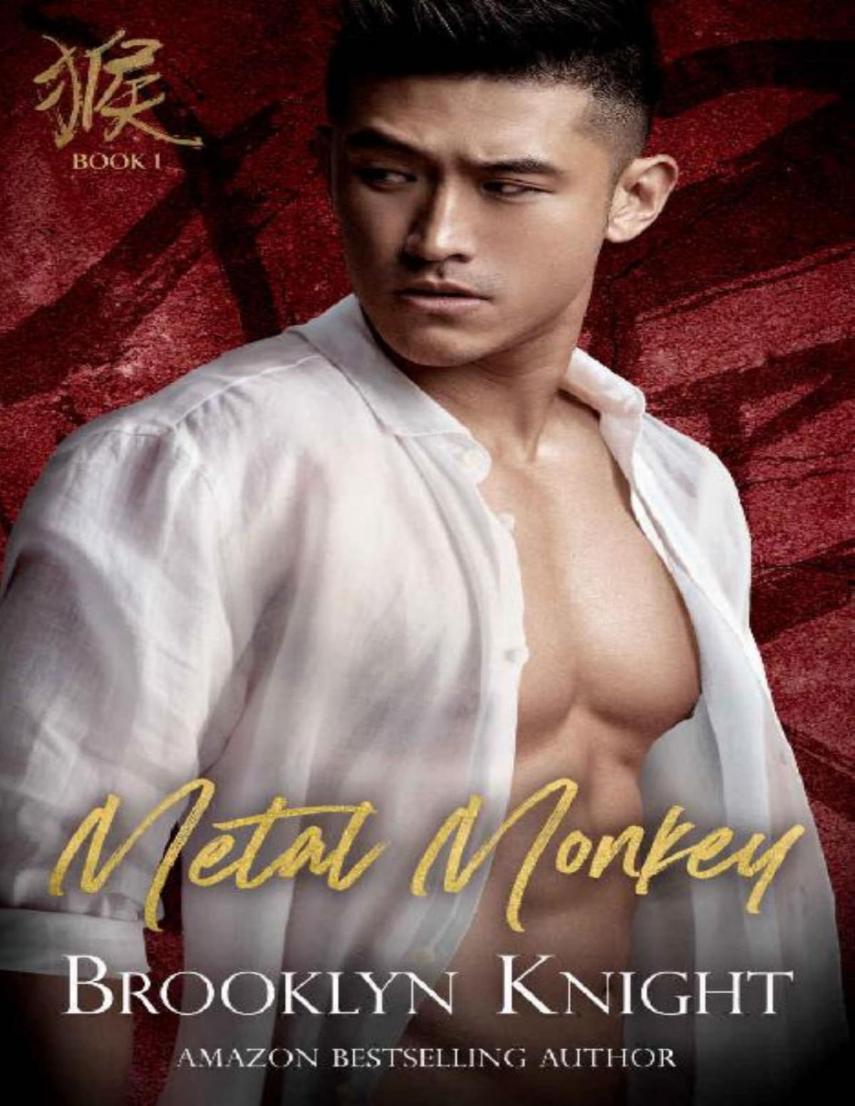 Metal Monkey Elemental Love Book 1 Brooklyn Knight Knight