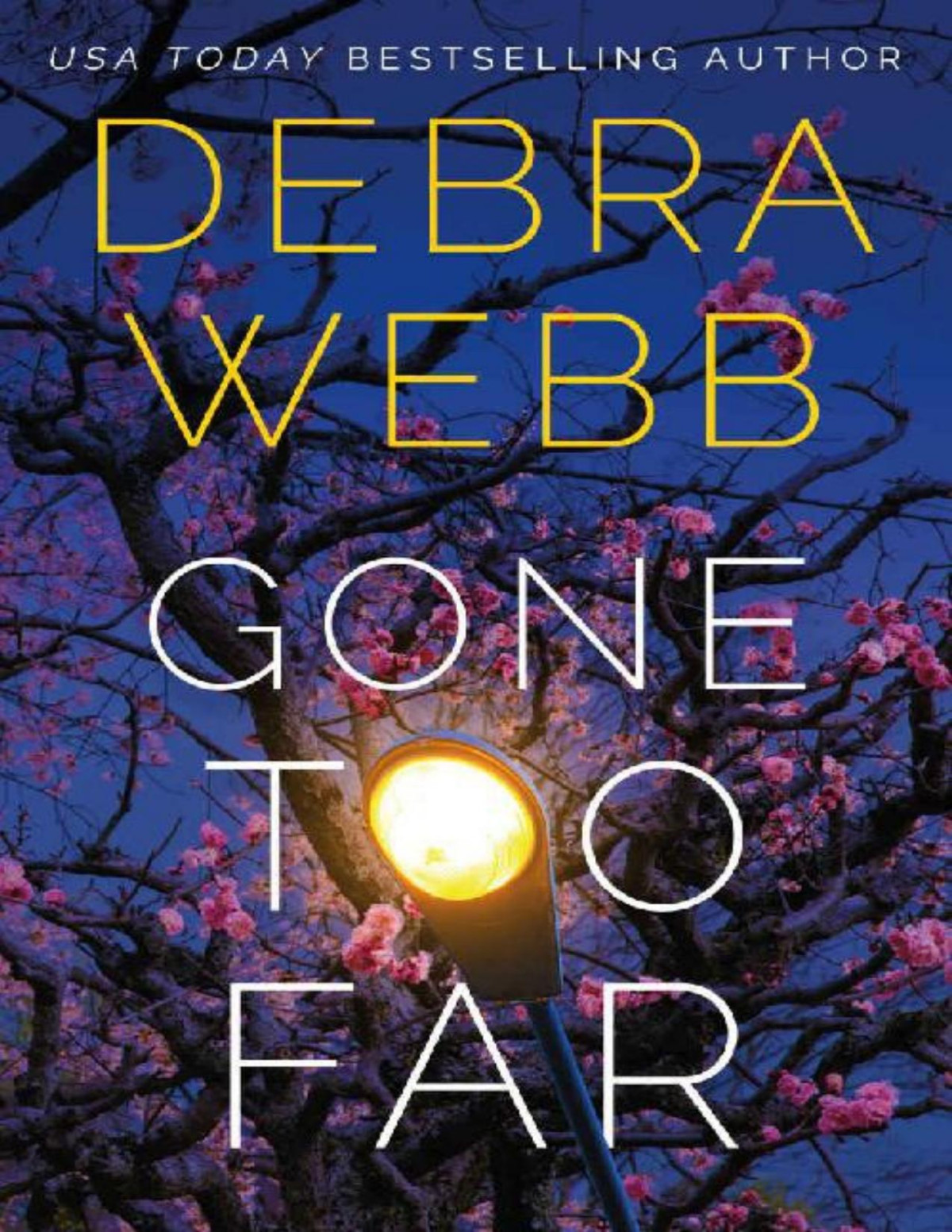 Gone Too Far Devlin Falco Debra Webb Webb Debra