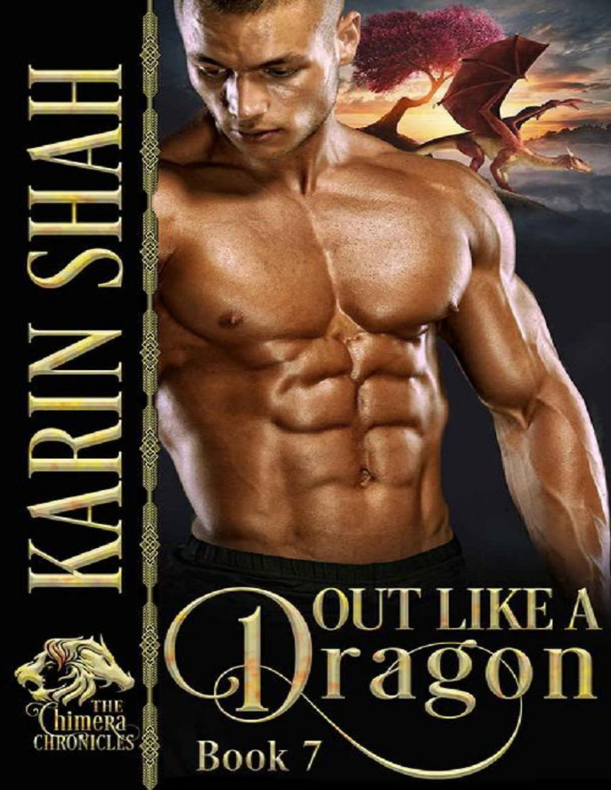 Out Like A Dragon The Chimera Chronicles Book 7 Karin Shah Shah