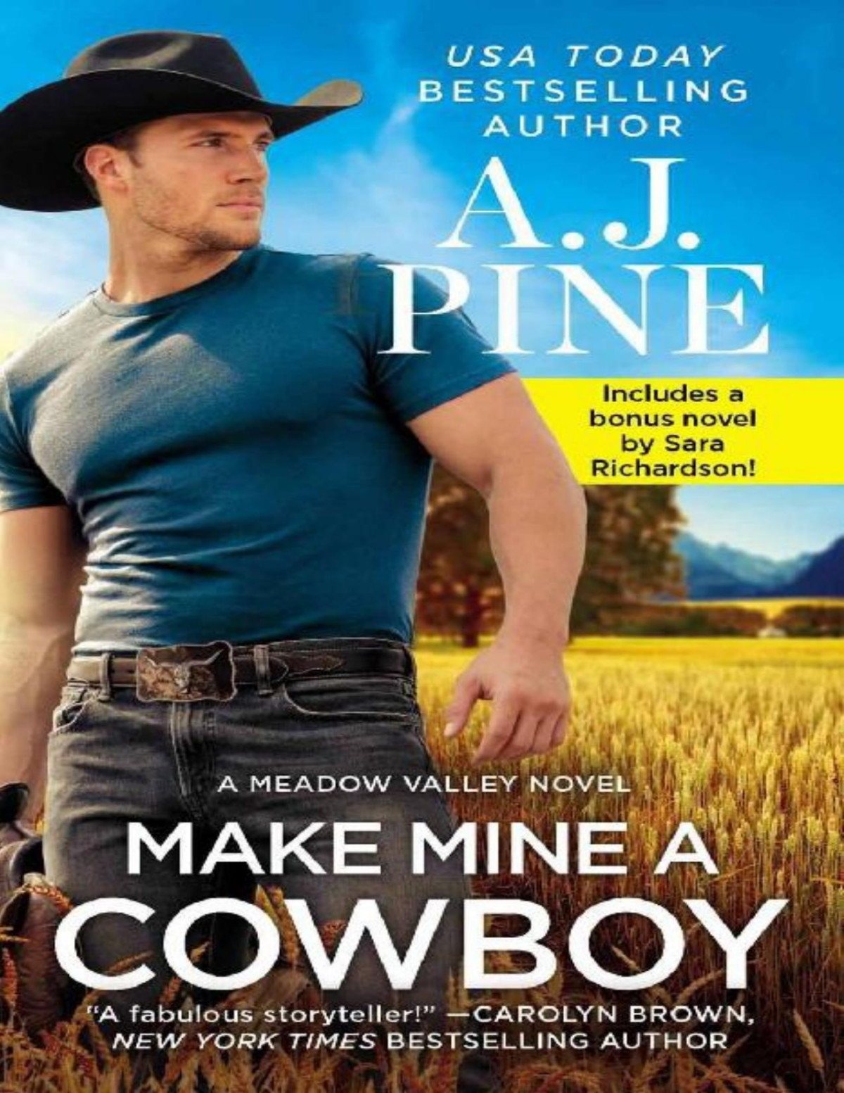 Make Mine A Cowboy Two Full Books For The Price Of One Meadow Valley Book 2 Aj Pine Pine