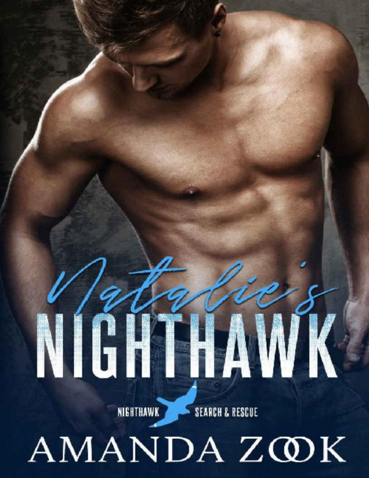 Natalies Nighthawk Nighthawk Search And Rescue Amanda Zook Zook