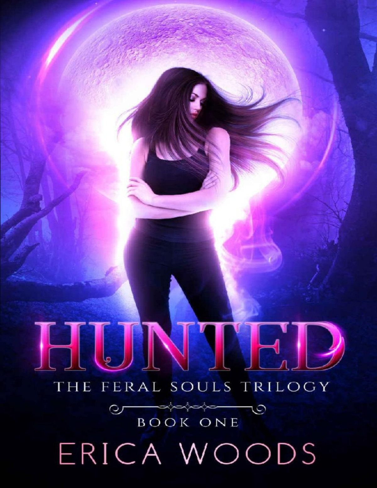 Hunted A Reverse Harem Shifter Romance The Feral Souls Trilogy Book 1 Erica Woods Woods