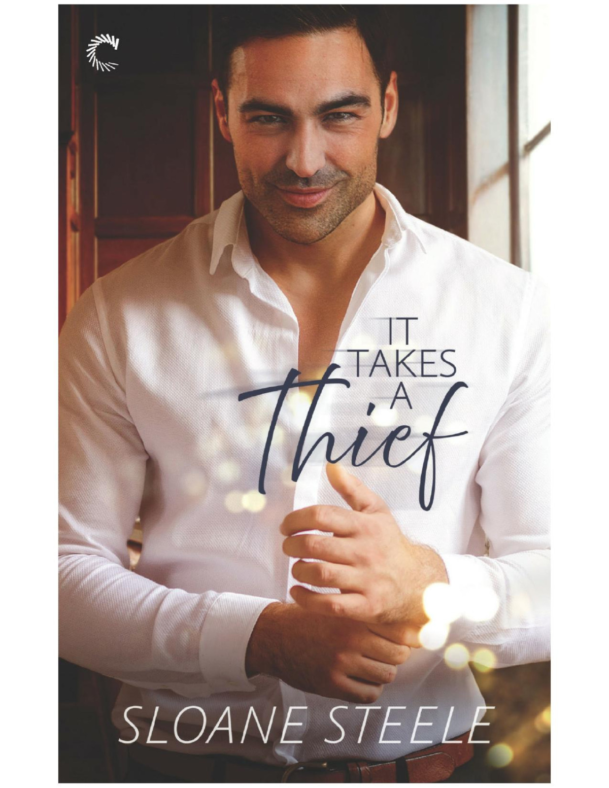 It Takes A Thiefa Heist Romance Sloane Steele