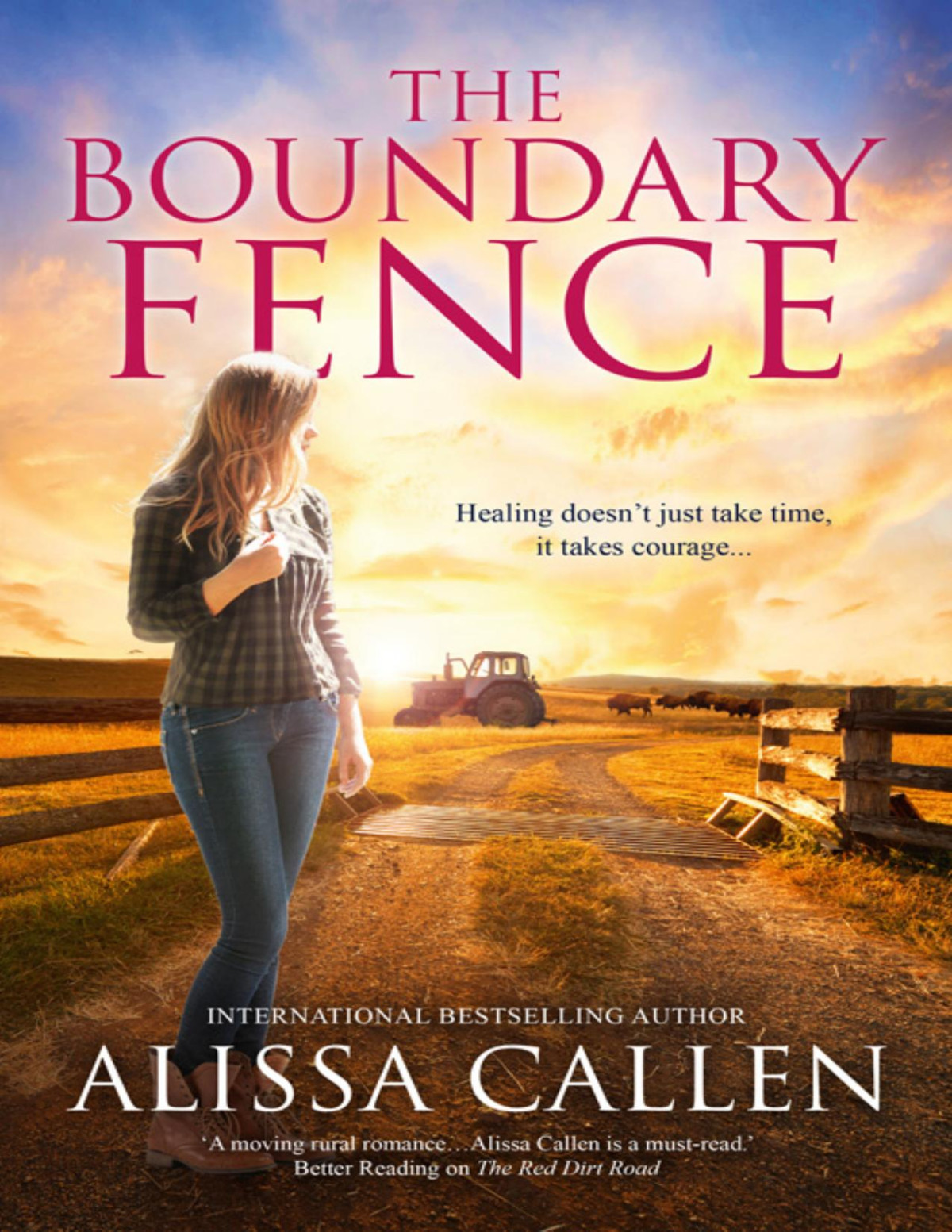 The Boundary Fence Woodlea 7 Alissa Callen