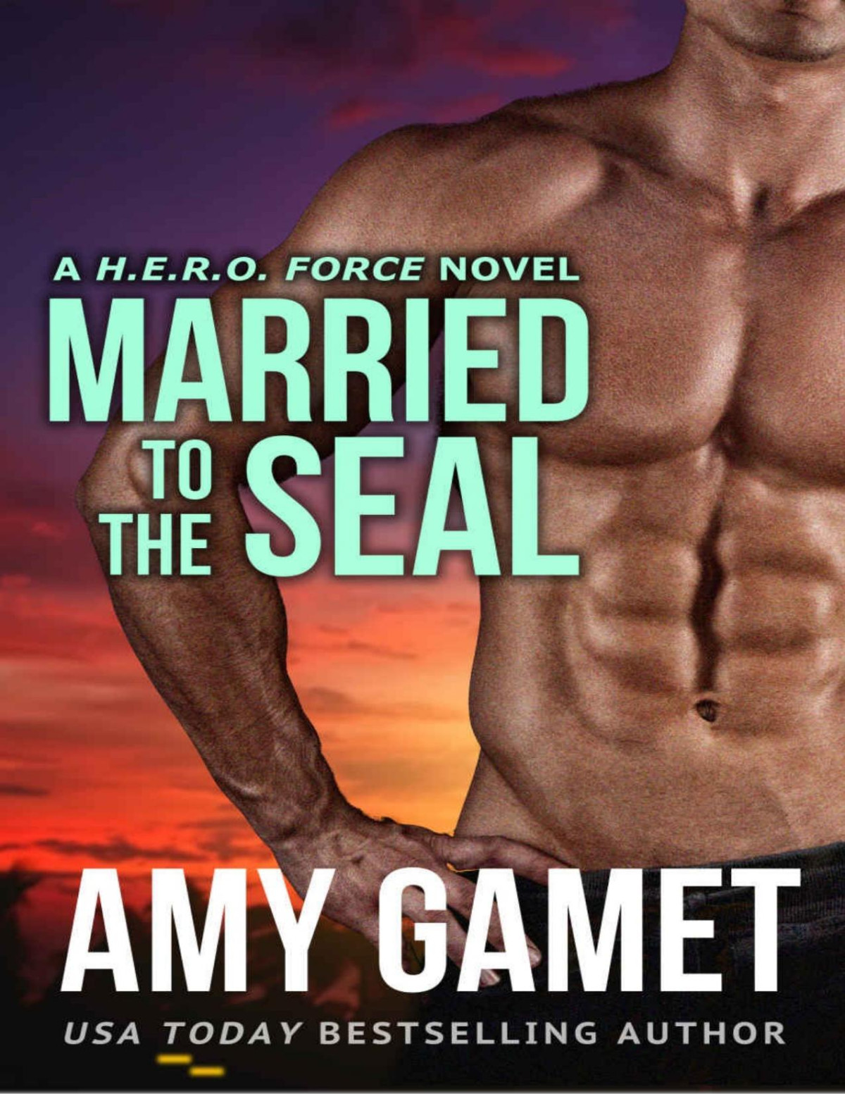 Married To The Seal Hero Force Book 4 Amy Gamet Gamet Amy