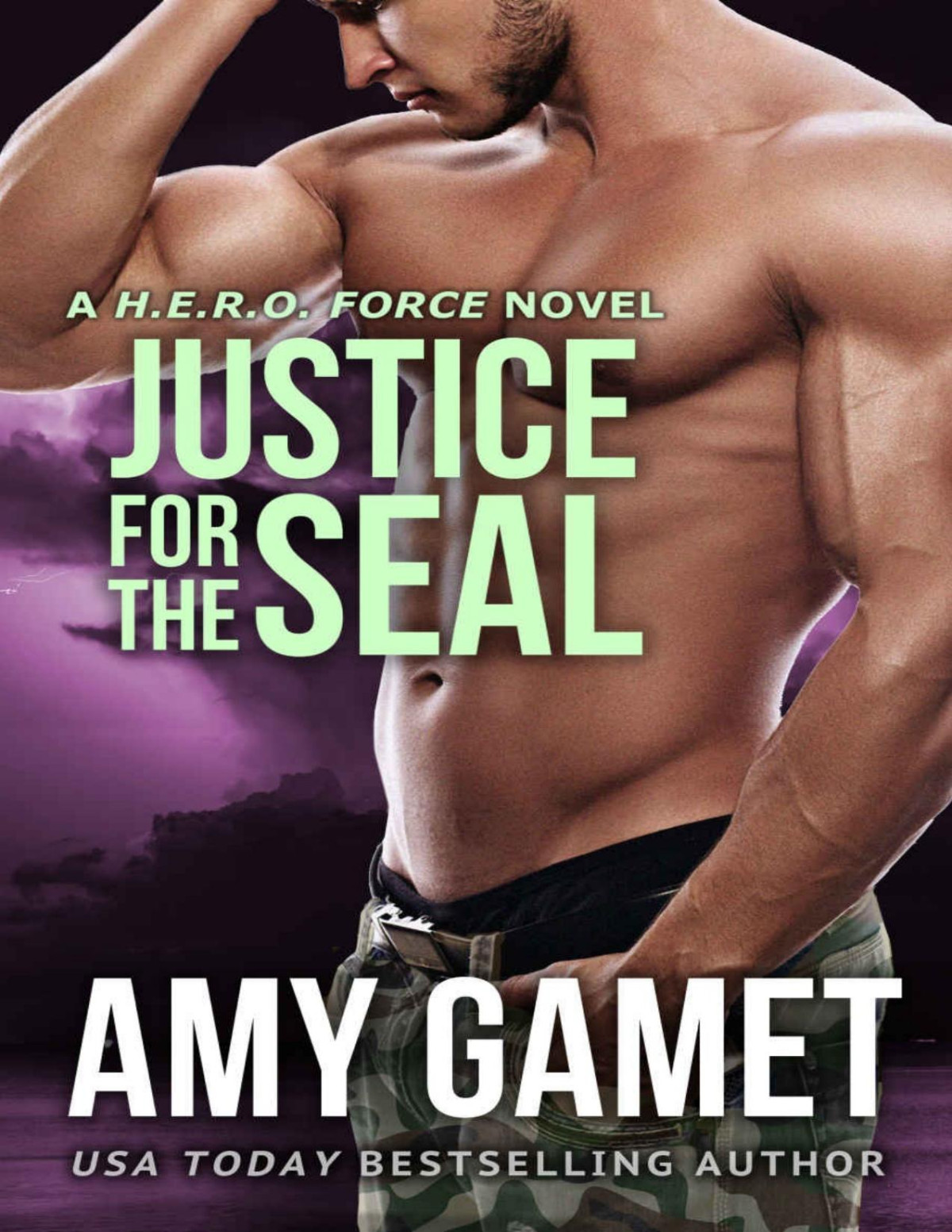 Justice For The Seal Hero Force Book 5 Amy Gamet Gamet Amy