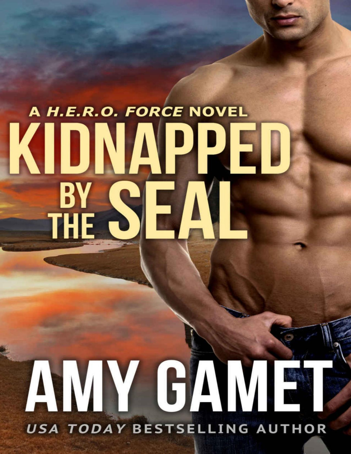 Kidnapped By The Seal Hero Force Book 7 Amy Gamet Gamet Amy