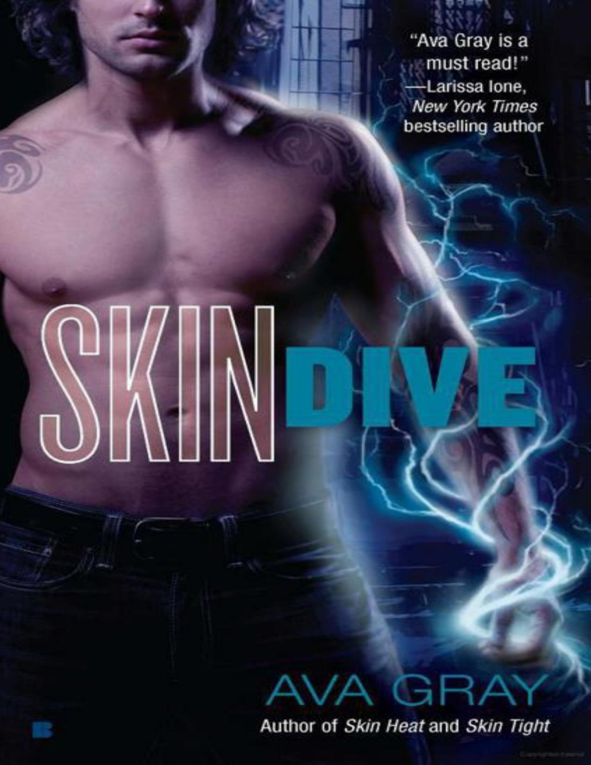 Skin Dive Gray Ava Gray Ava