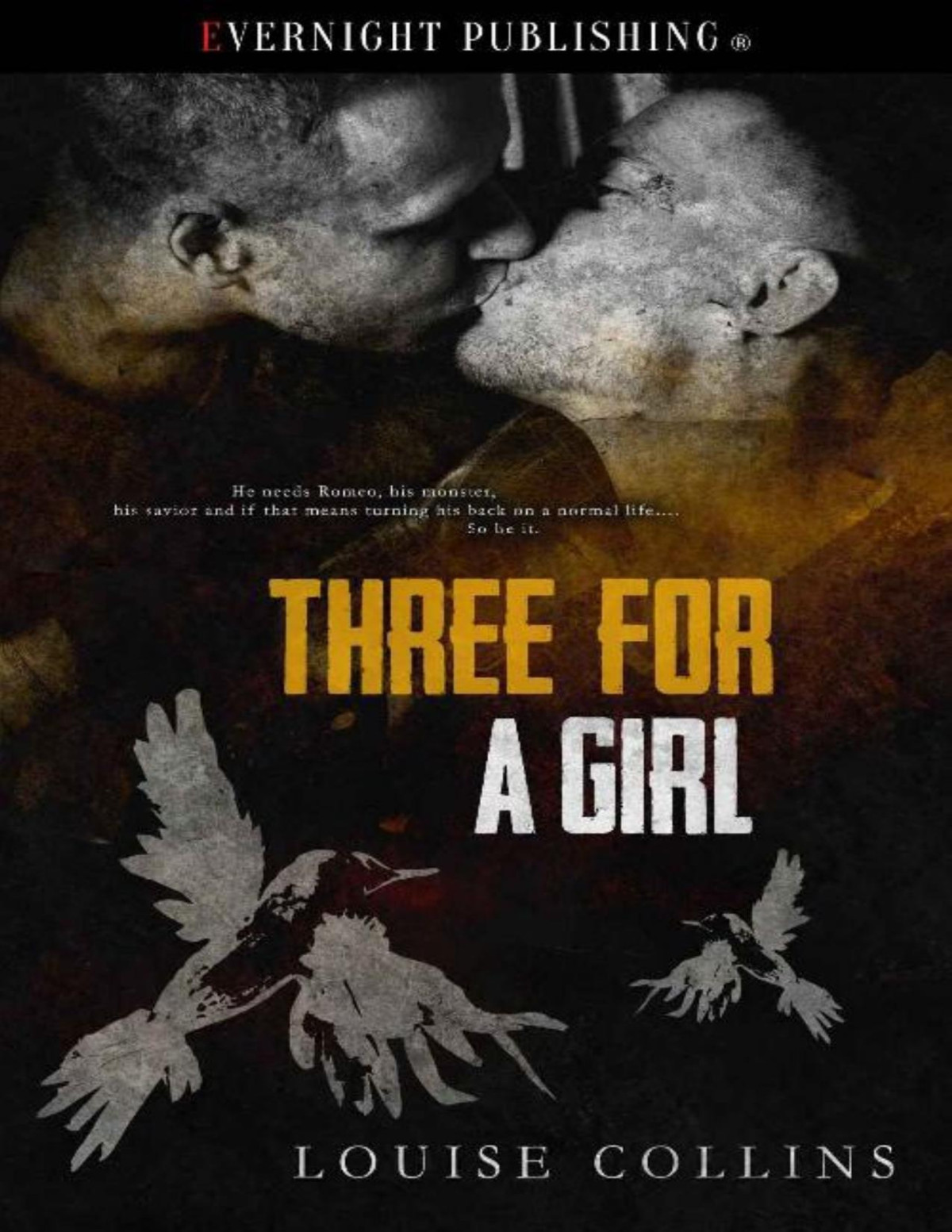 Three For A Girl The Magpie Rhyme Book 3 Louise Collins Collins