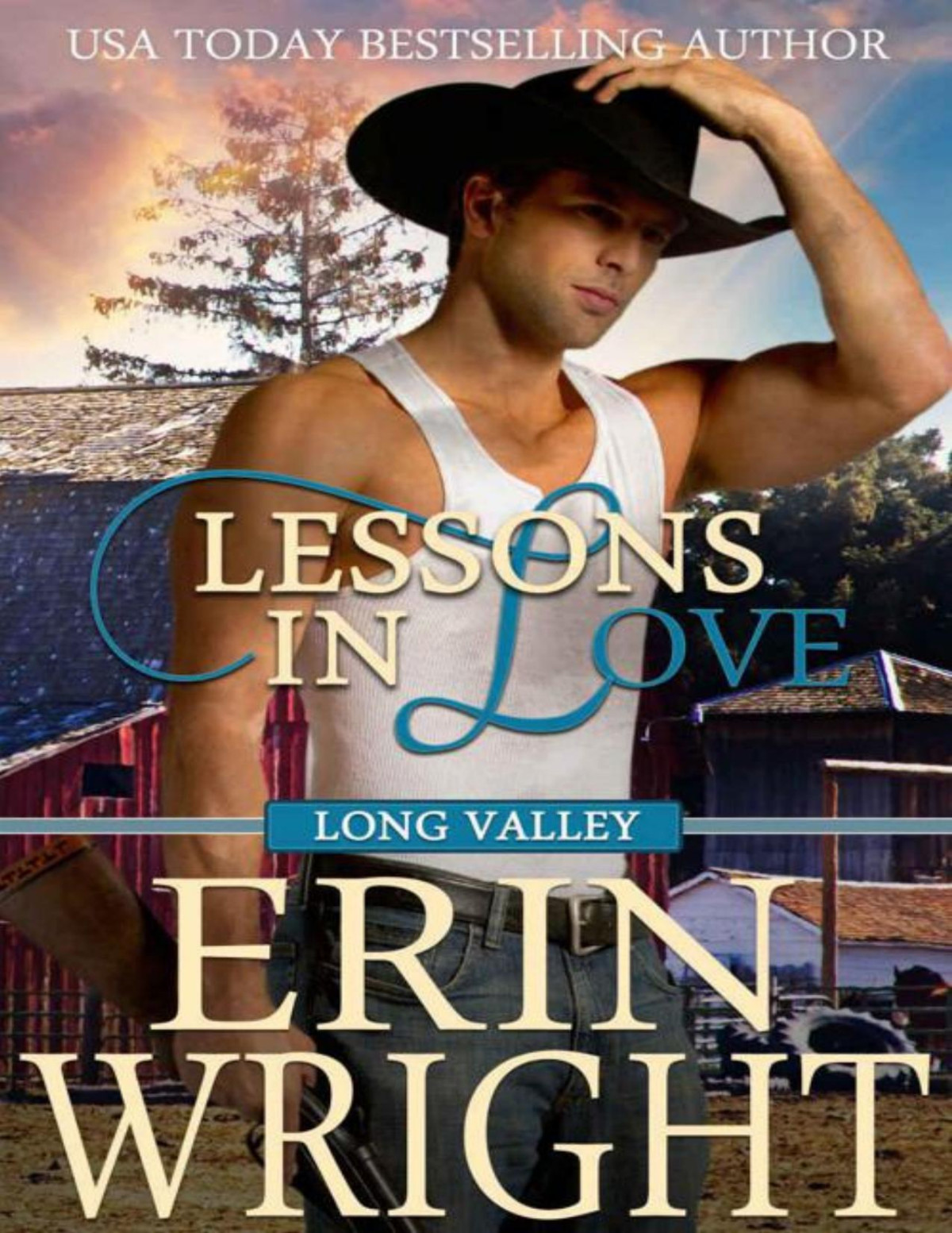 Lessons In Love A Western Romance Novel Long Valley Book 8 Erin Wright Wright