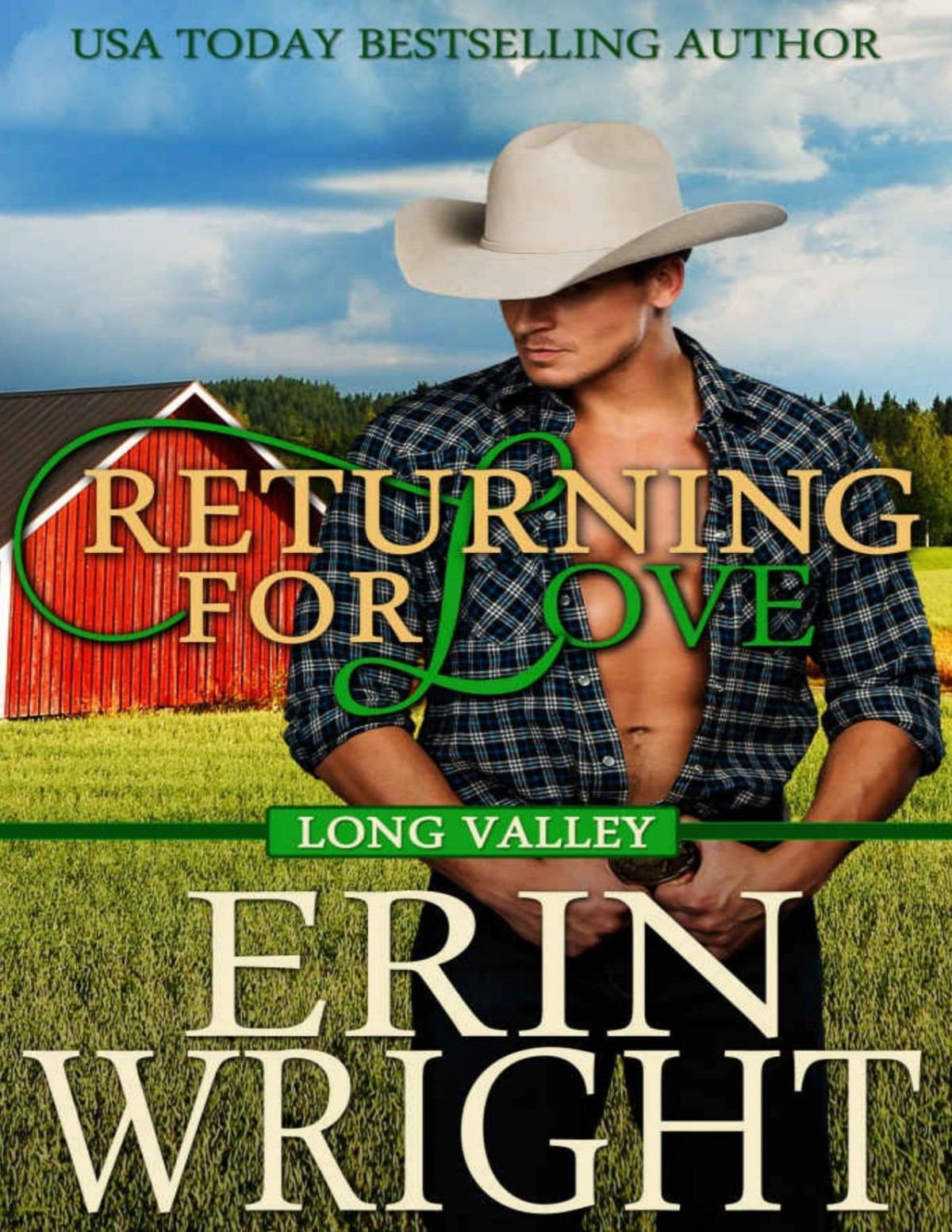 Returning For Love A Western Romance Novel Long Valley Book 4 Erin Wright Wright