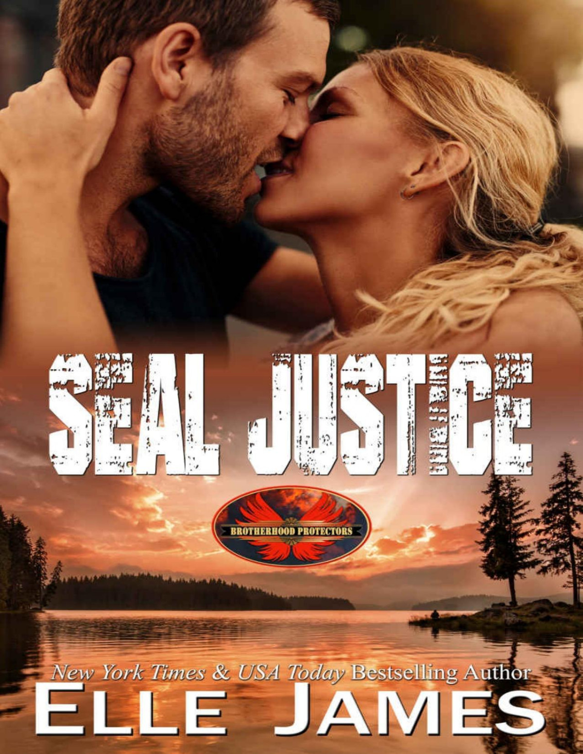 Seal Justice Brotherhood Protectors Book 13 Elle James James