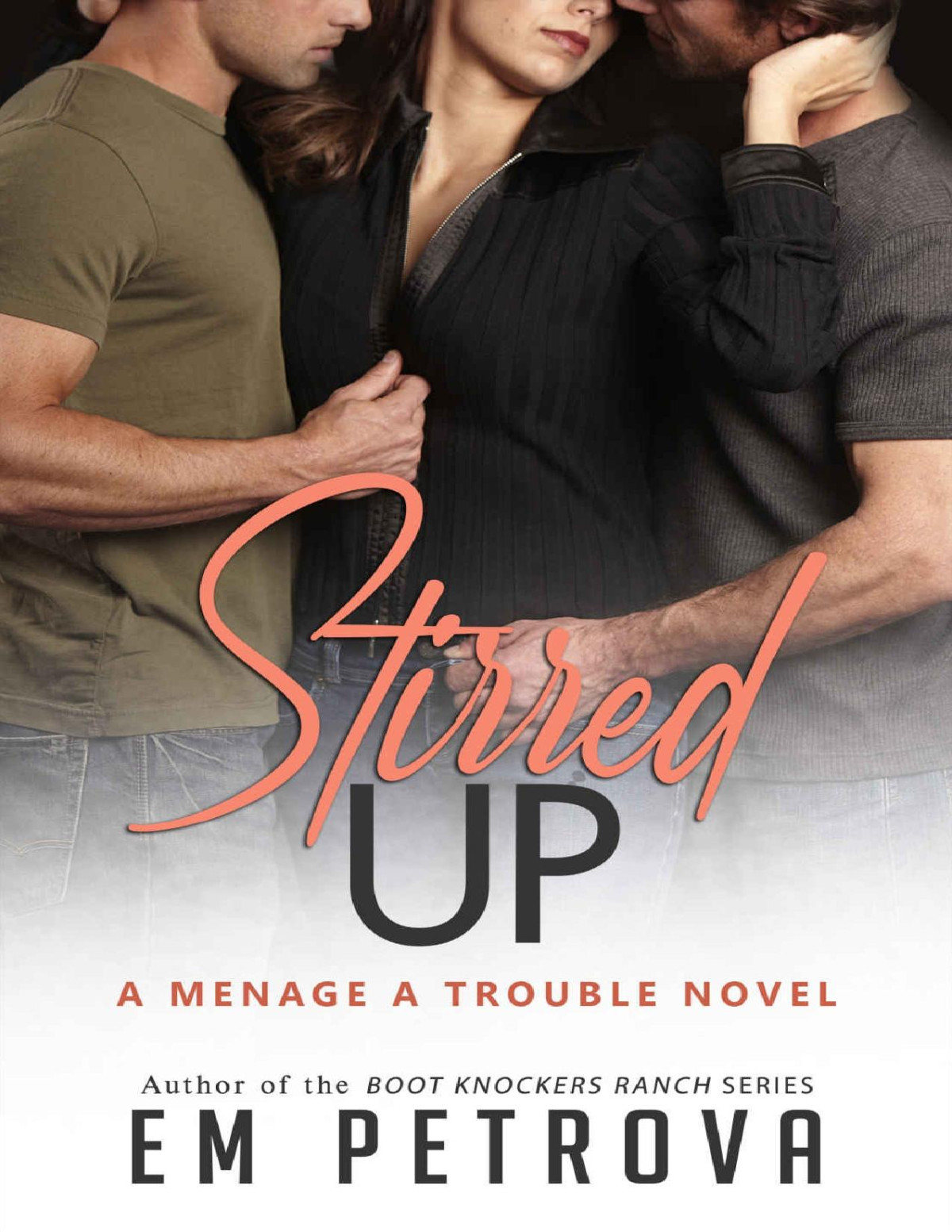 Stirred Up Menage A Trouble Book 6 1st Edition Em Petrova Petrova