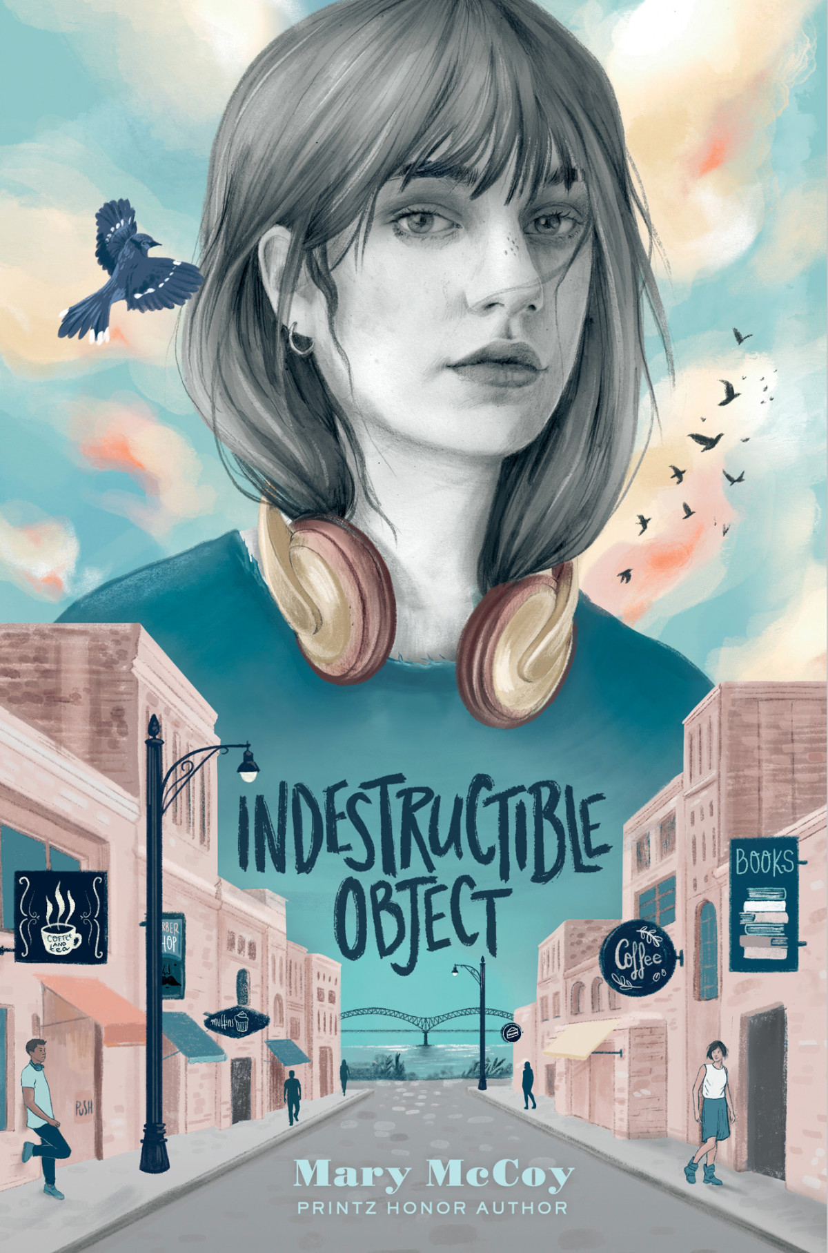 Indestructible Object 1st Edition Mary Mccoy Mccoy Mary