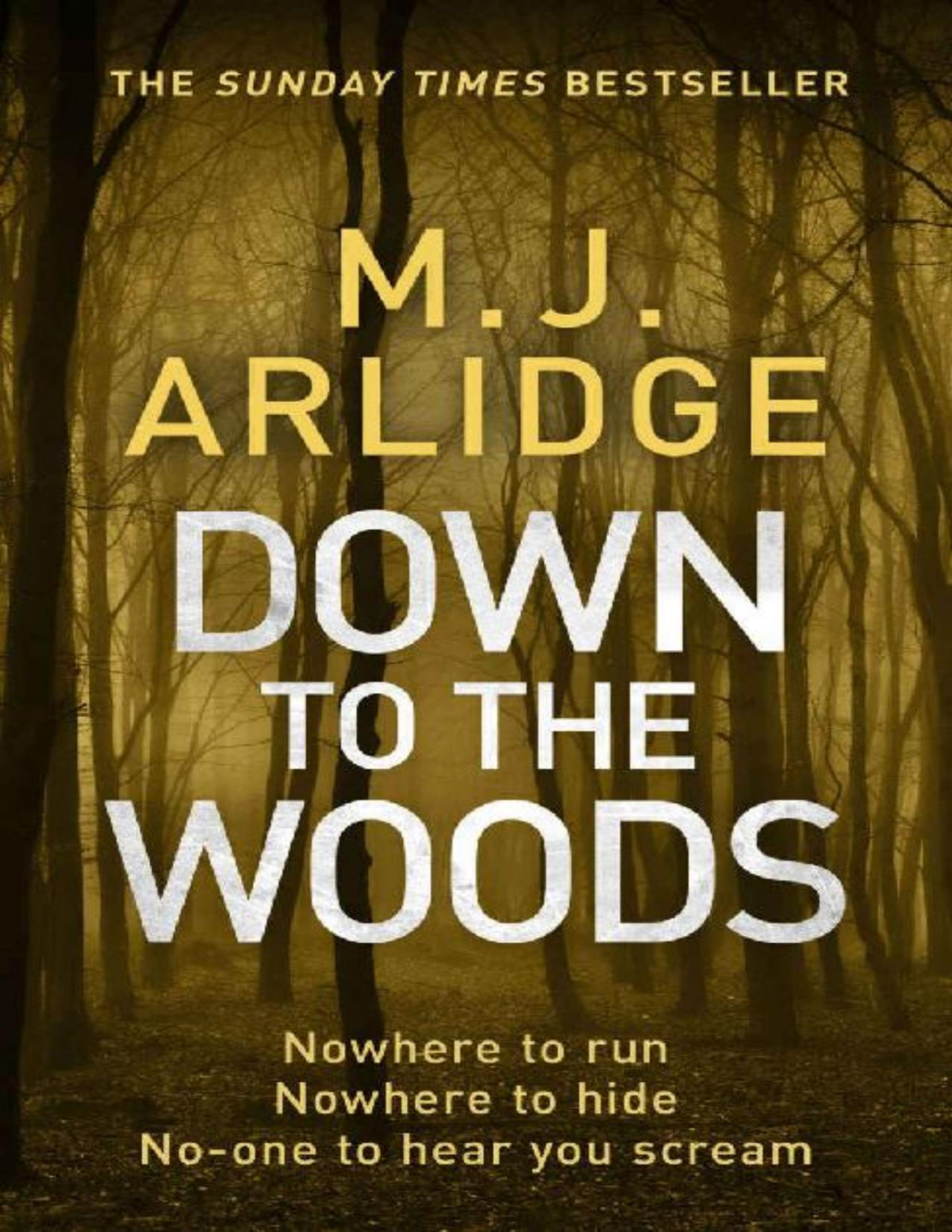 Down To The Woods Di Helen Grace 8 M J Arlidge