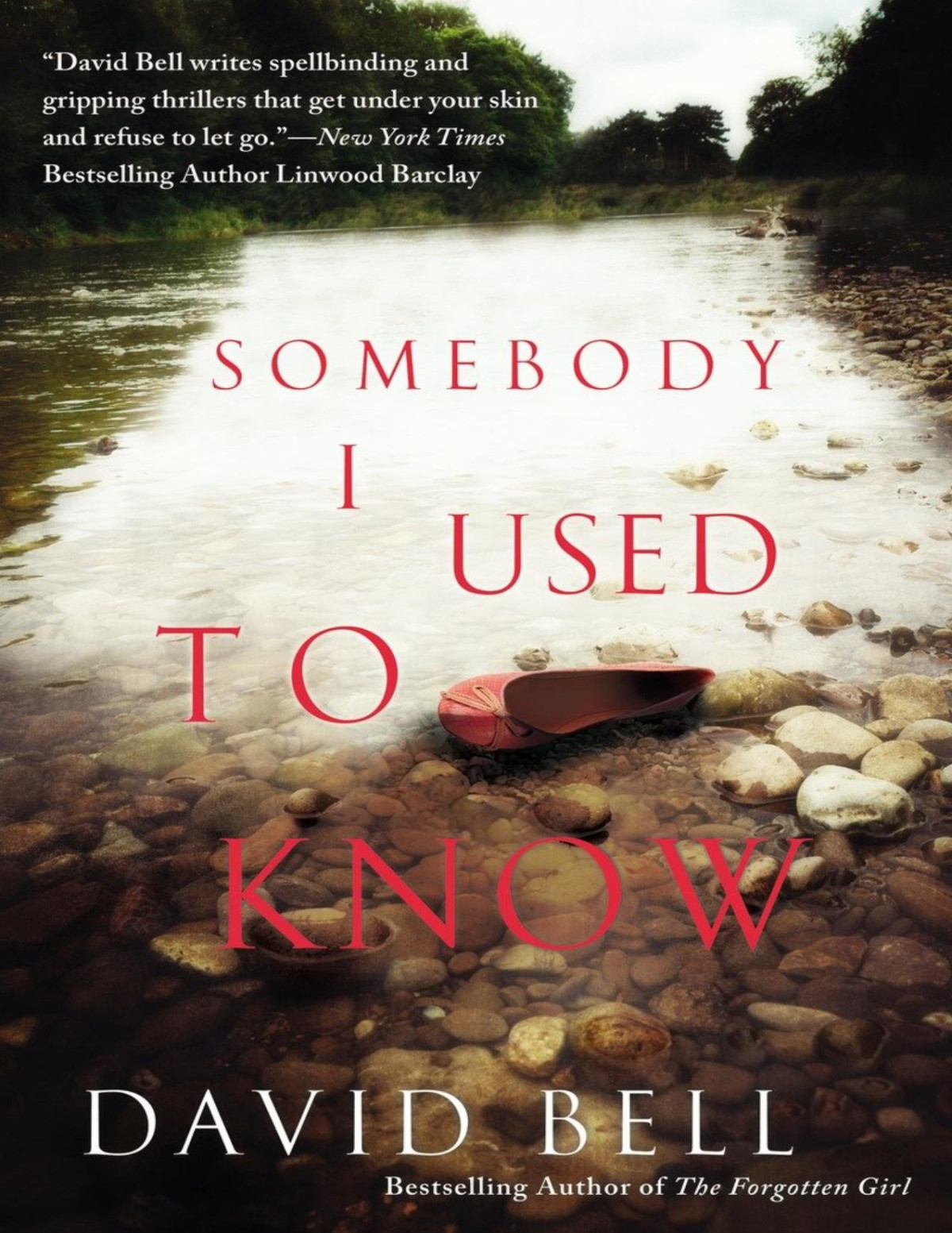 Somebody I Used To Know David Bell Bell David