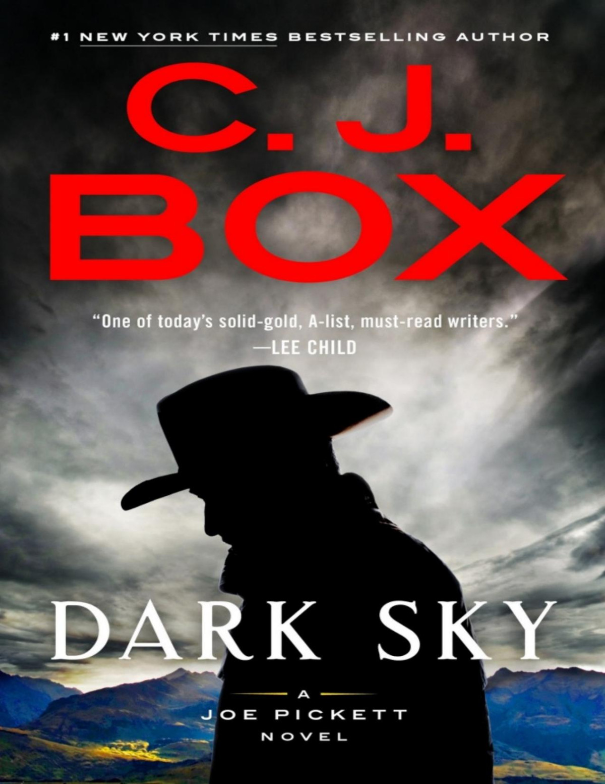Dark Sky C J Box Box C J