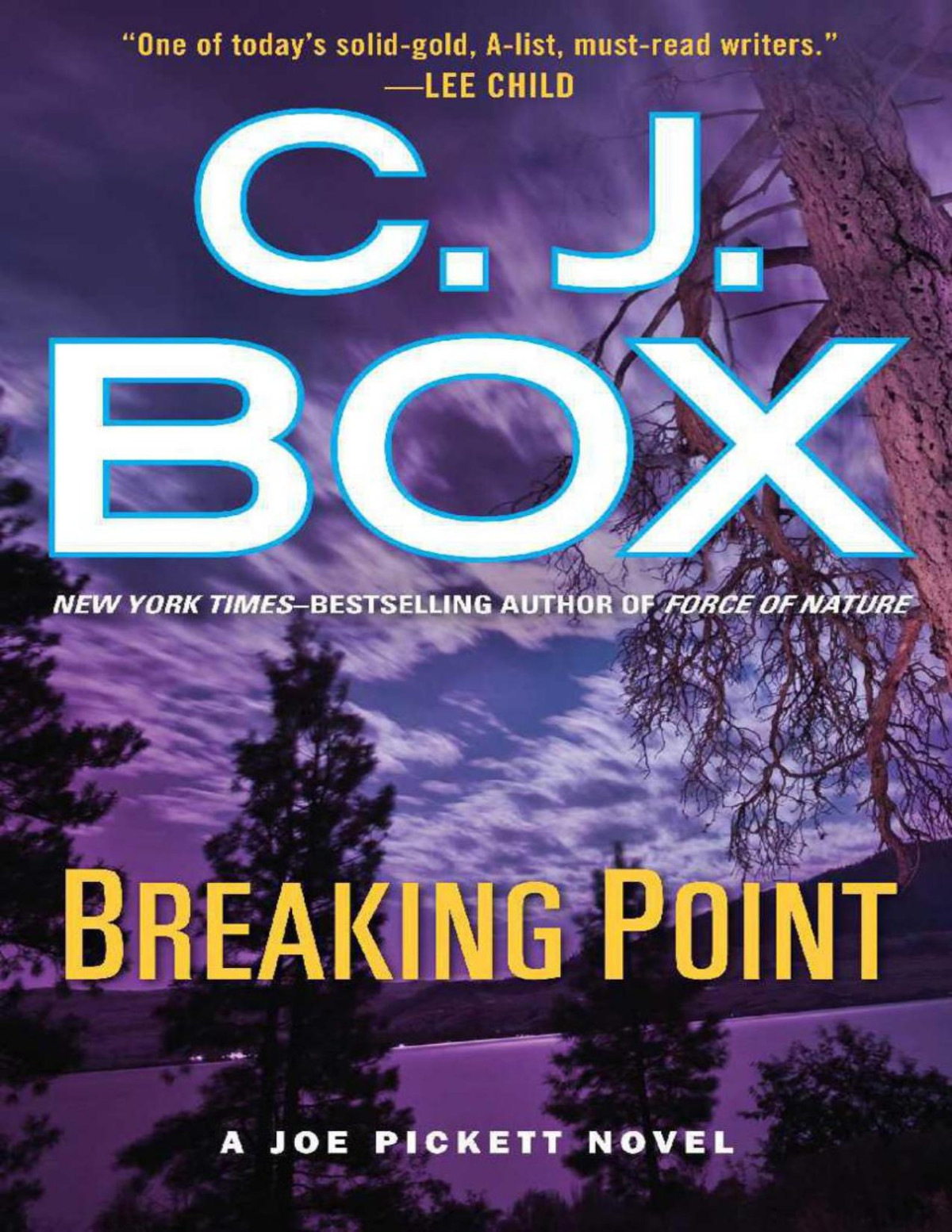 Breaking Point C J Box Box C J
