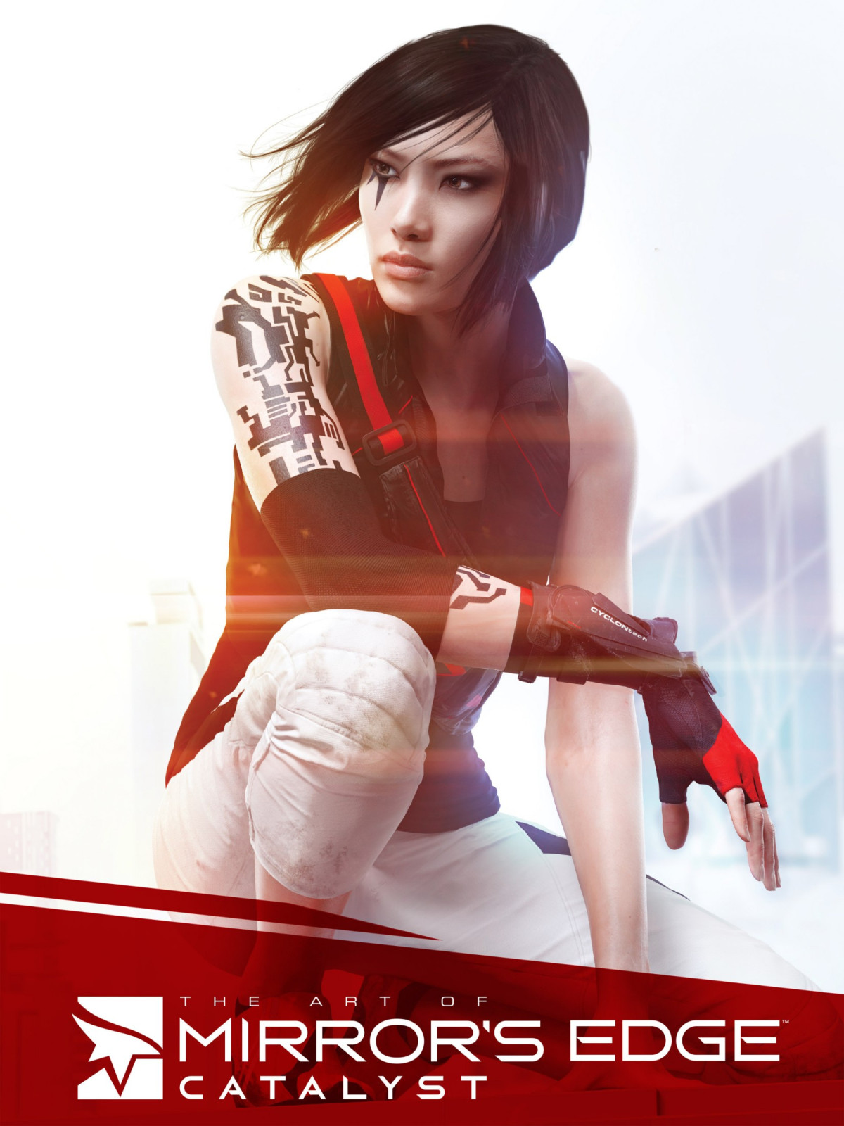The Art Of Mirrors Edge Catalyst Dice