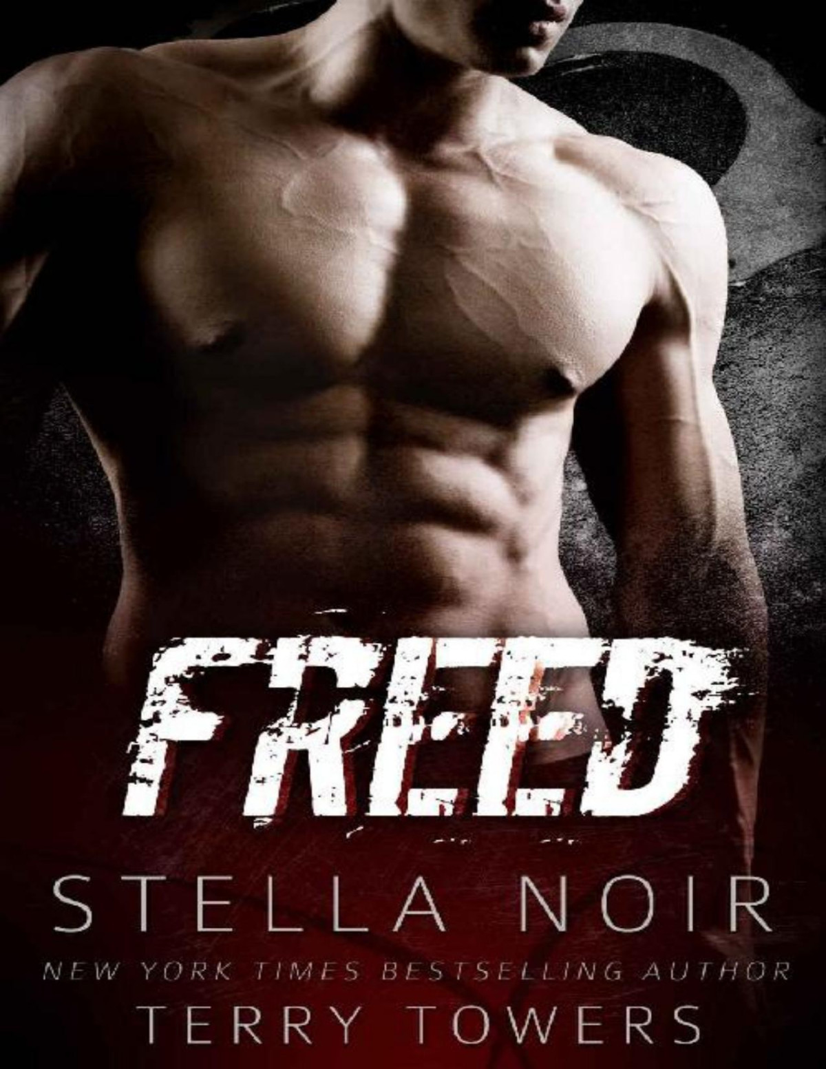 Freed Bad Boy Hitman Romance Terry Towers Stella Noir Towers