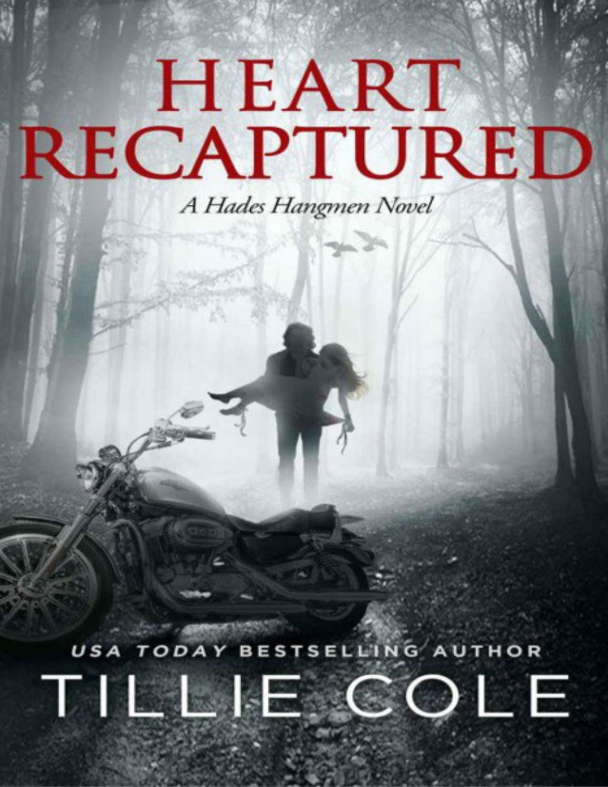 Heart Recaptured Hades Hangmen 2 Tillie Cole Cole Tillie