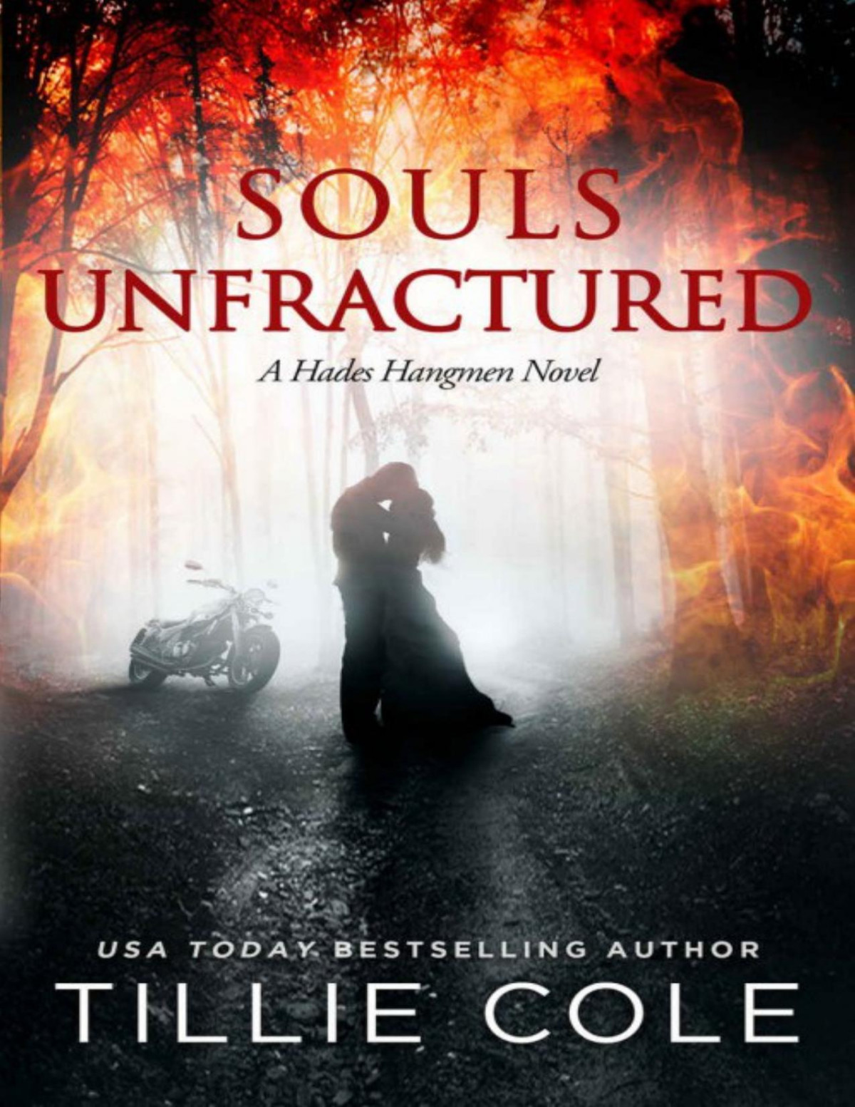 Souls Unfractured Hades Hangmen 3 Tillie Cole Cole Tillie