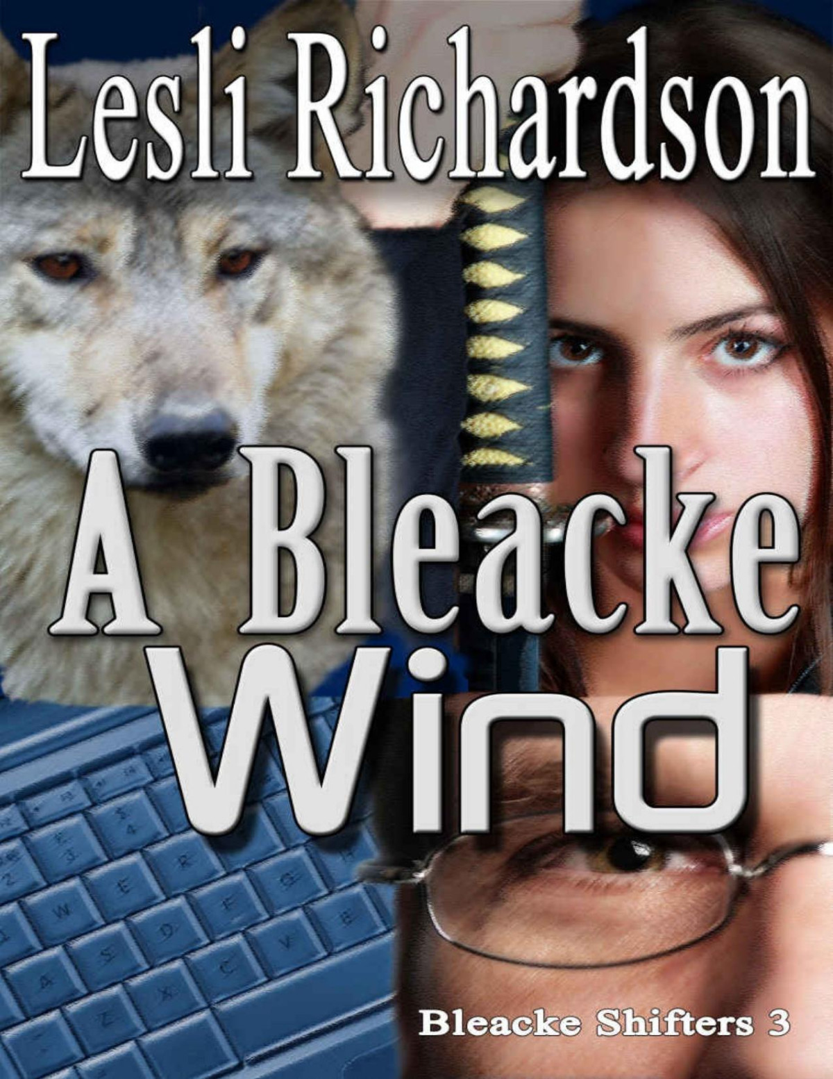 A Bleacke Wind Bleacke Shifters Book 3 Lesli Richardson Richardson