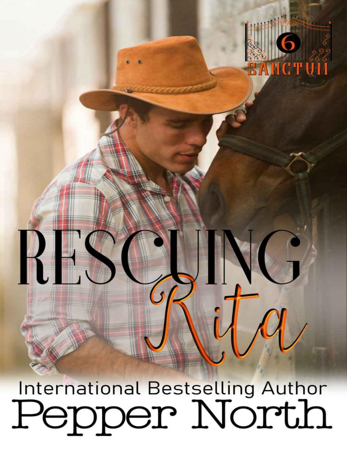 Rescuing Rita A Sanctum Novel Pepper North North Pepper