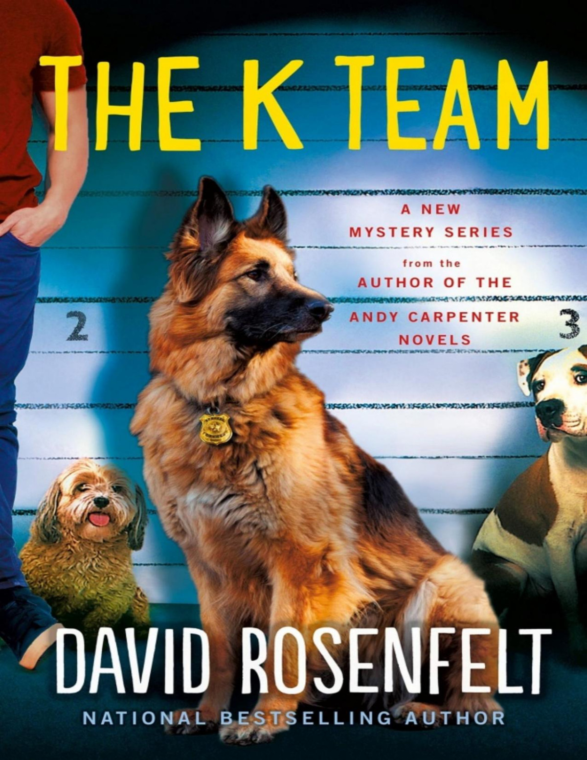 The K Team David Rosenfelt Rosenfelt David
